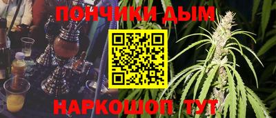 прущие грибы Заводоуковск